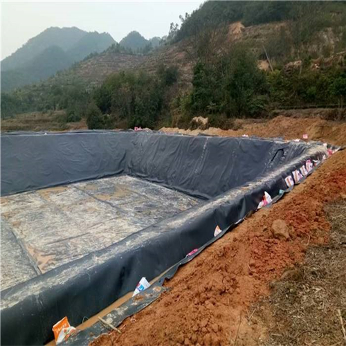 您了解魚(yú)塘防滲膜施工方法有哪些嗎？